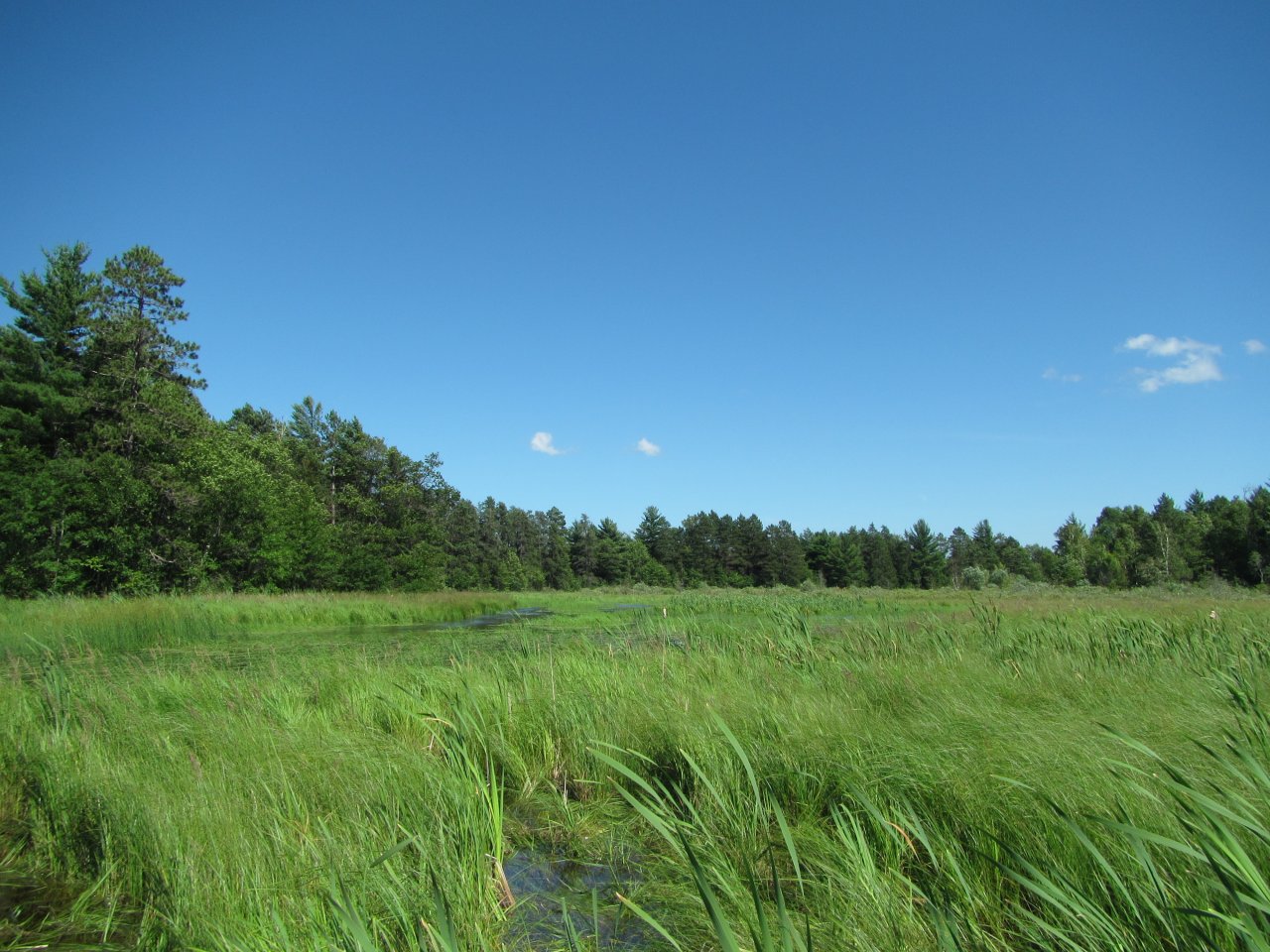 Eastern Mountains & Upper Midwest Ecoregion National Wetland Condition Assessment Results US EPA